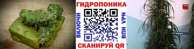 Canna-Cookies марихуана Спас-Деменск