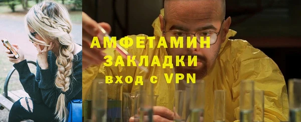 гидра Богданович