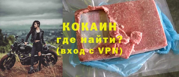 гидра Богданович