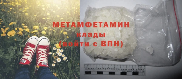 гидра Богданович